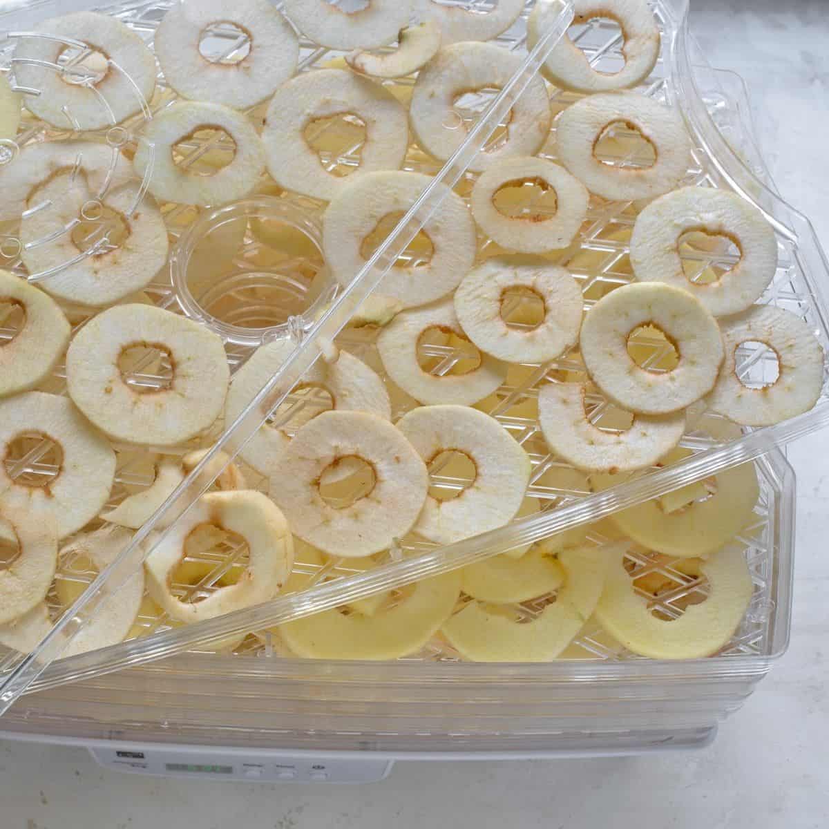 Suhe -kaše od jabuka: zdravi domaći čips bez šećera